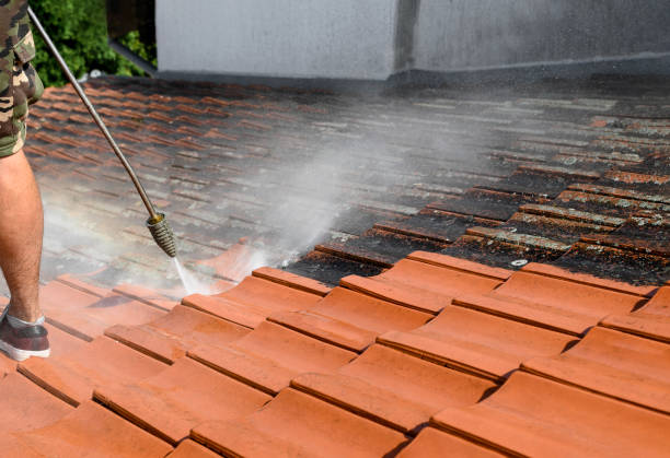 Best Commercial Pressure Washing  in Laguna Vista, TX